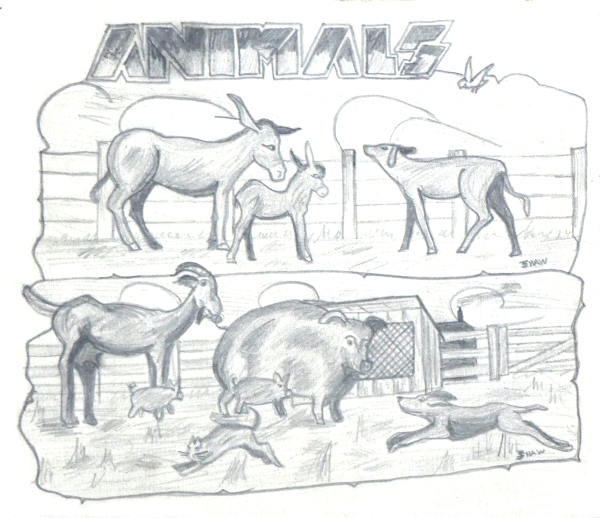 sketches of various farm animals