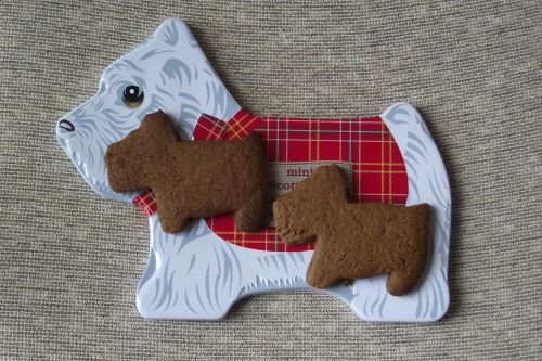 Westie dog-shaped tin lid with two dog-shaped biscuits on top