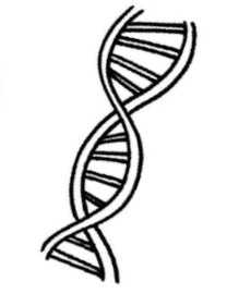 Stylised DNA element