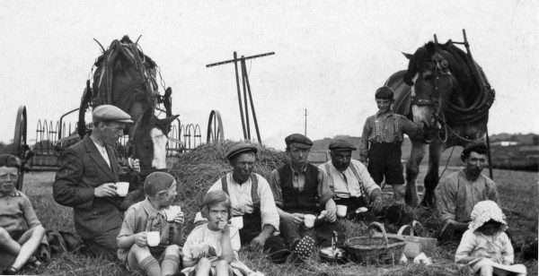 boy holds horse behind sitting people eating